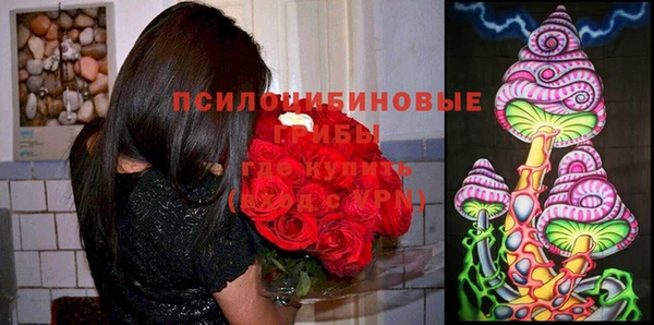 не бодяженный Аркадак