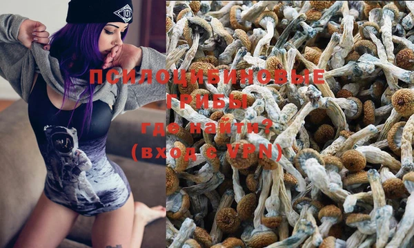 не бодяженный Аркадак
