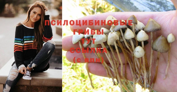 ALPHA PVP Армянск