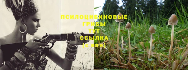 ALPHA PVP Армянск