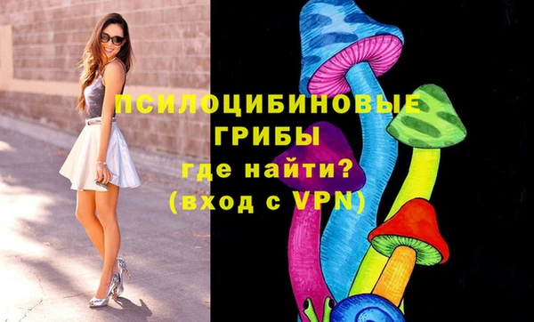 МДПВ Арсеньев