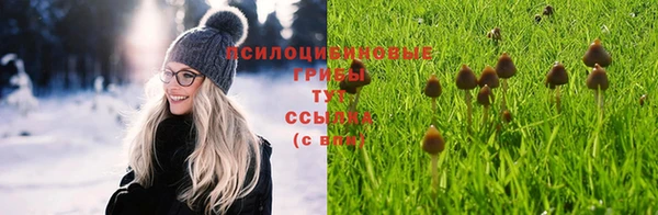 ALPHA PVP Армянск