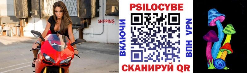 OMG маркетплейс Певек Псилоцибиновые грибы ЛСД